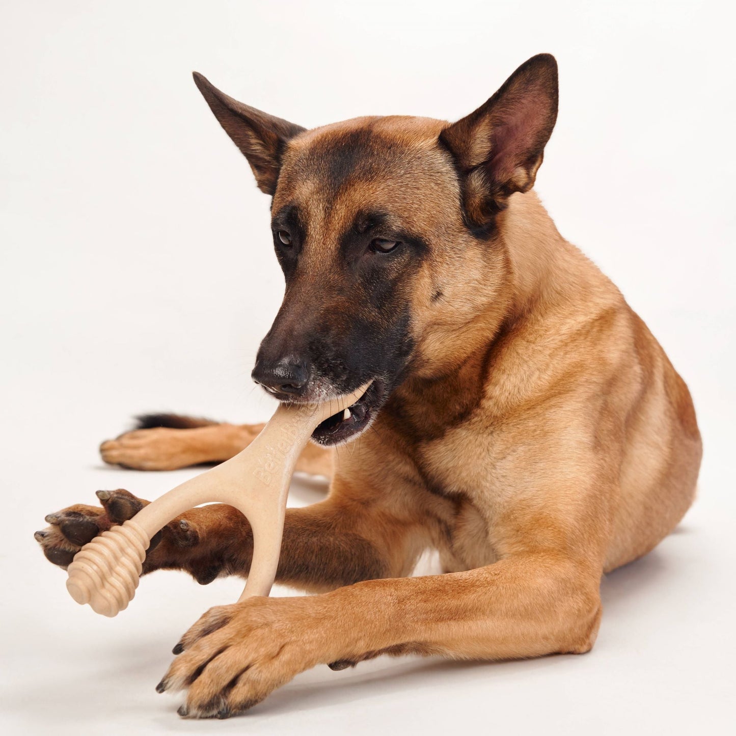 BetterBone Moderate Chew — Everyday Plant-Based Dog Bone