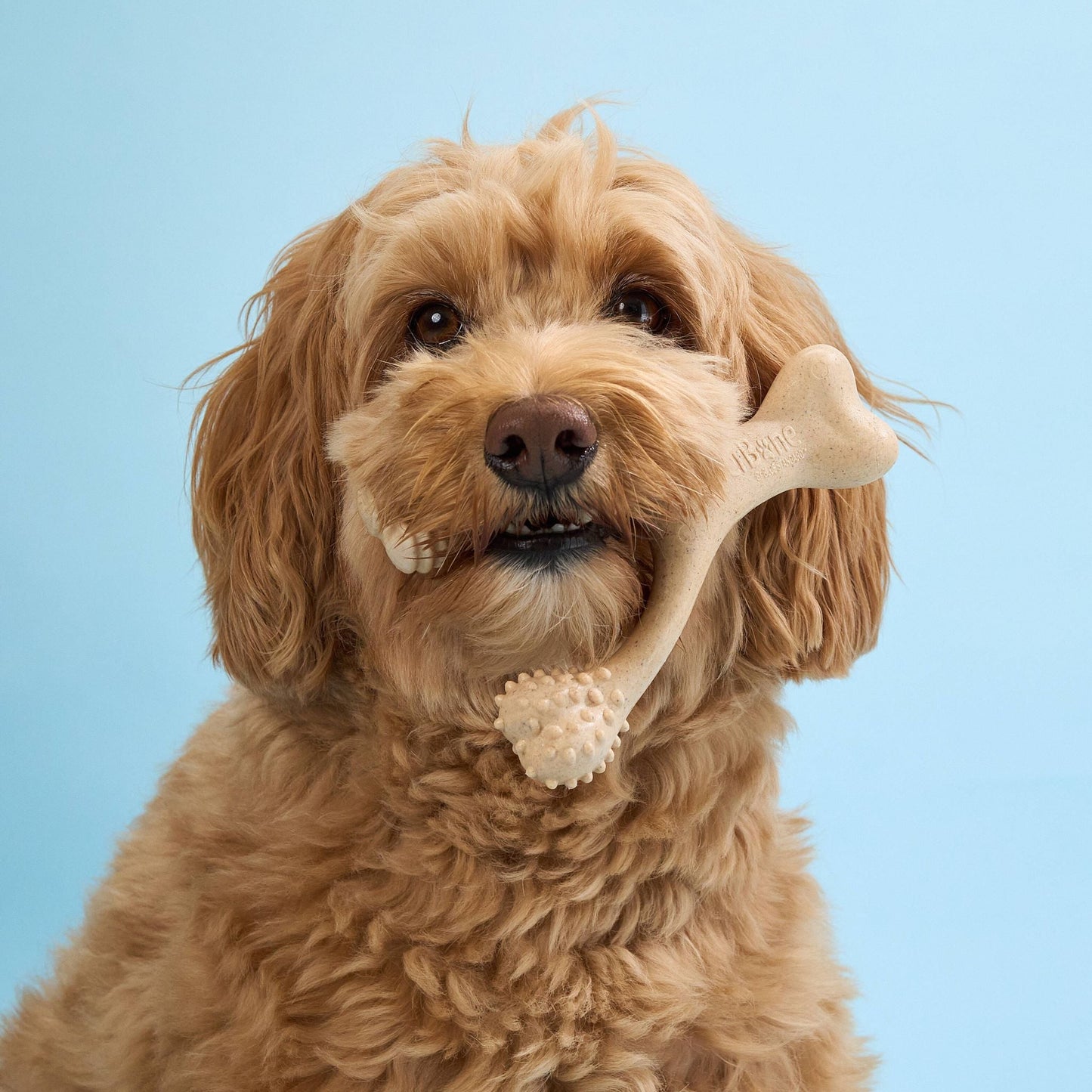 BetterBone Soft Chew — Gentle Plant-Based Dog Bone