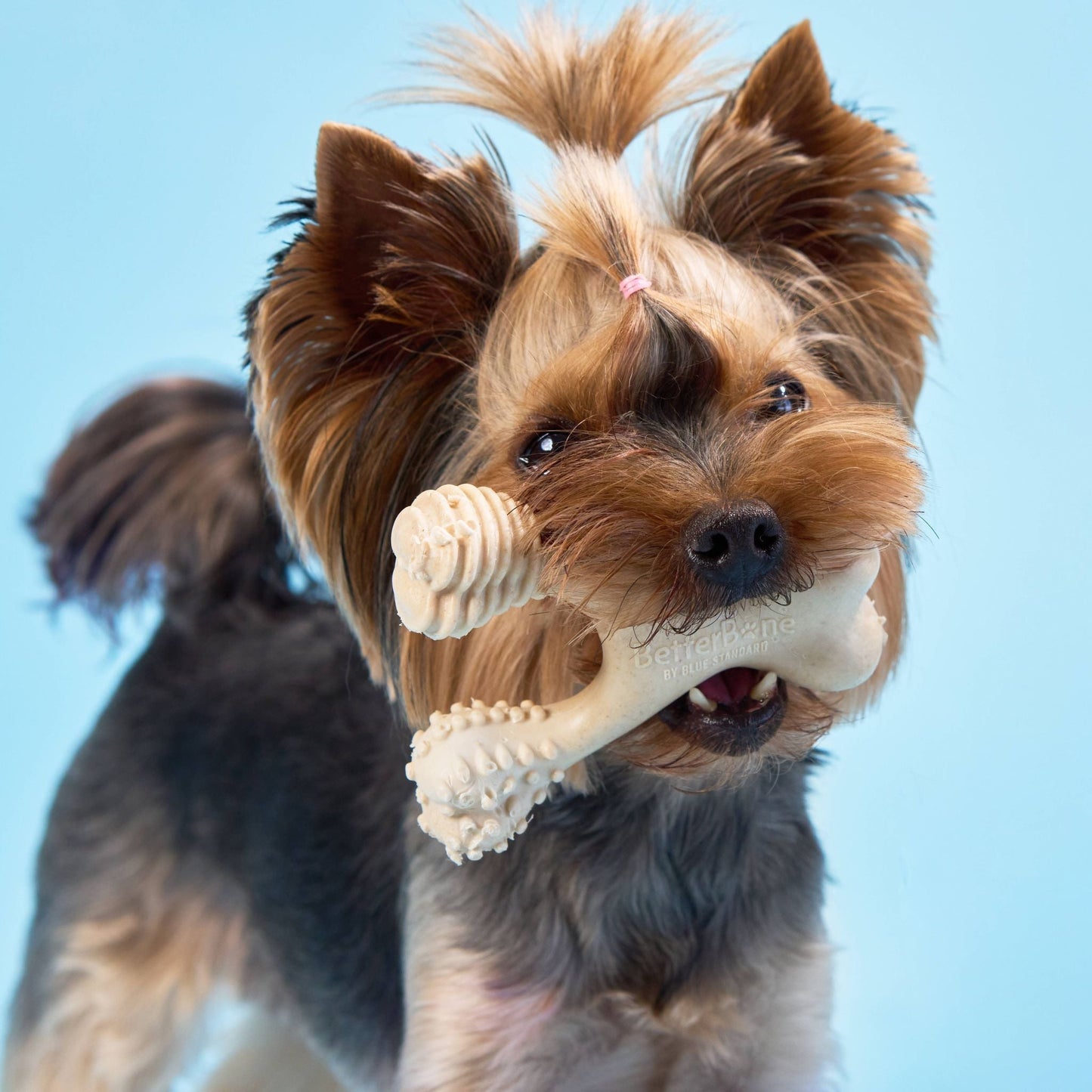 BetterBone Soft Chew — Gentle Plant-Based Dog Bone