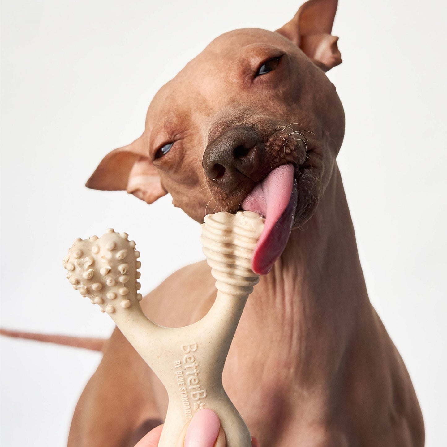 BetterBone Soft Chew — Gentle Plant-Based Dog Bone
