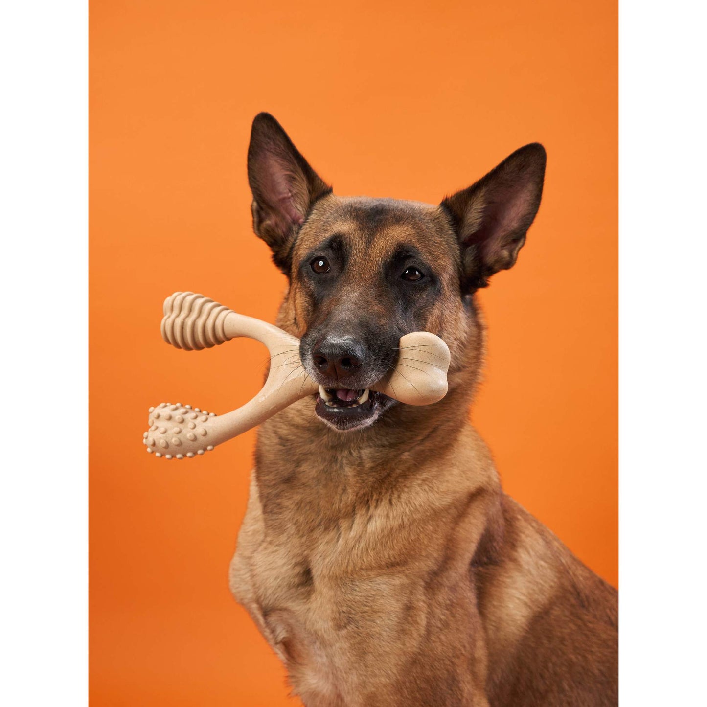 BetterBone Hard Chew — Natural Plant-Based Dog Bone