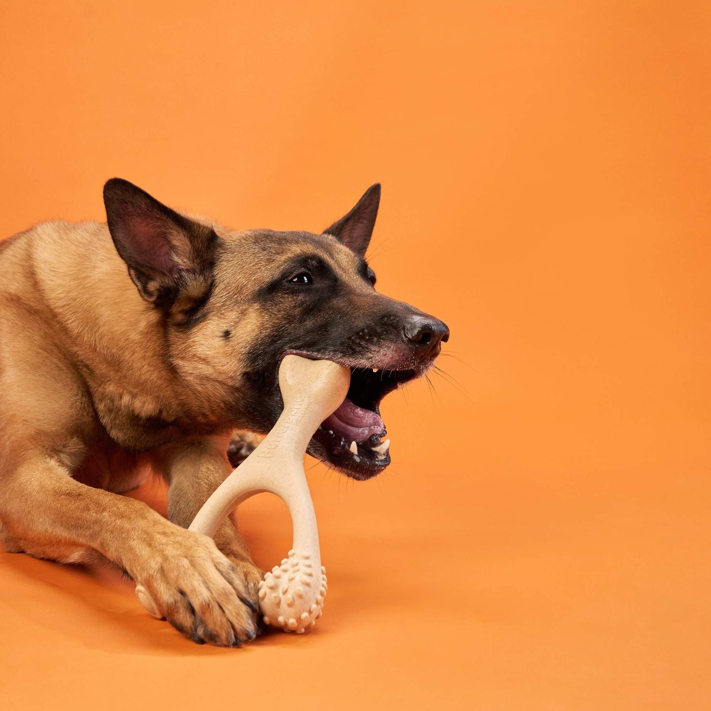 BetterBone Hard Chew — Natural Plant-Based Dog Bone