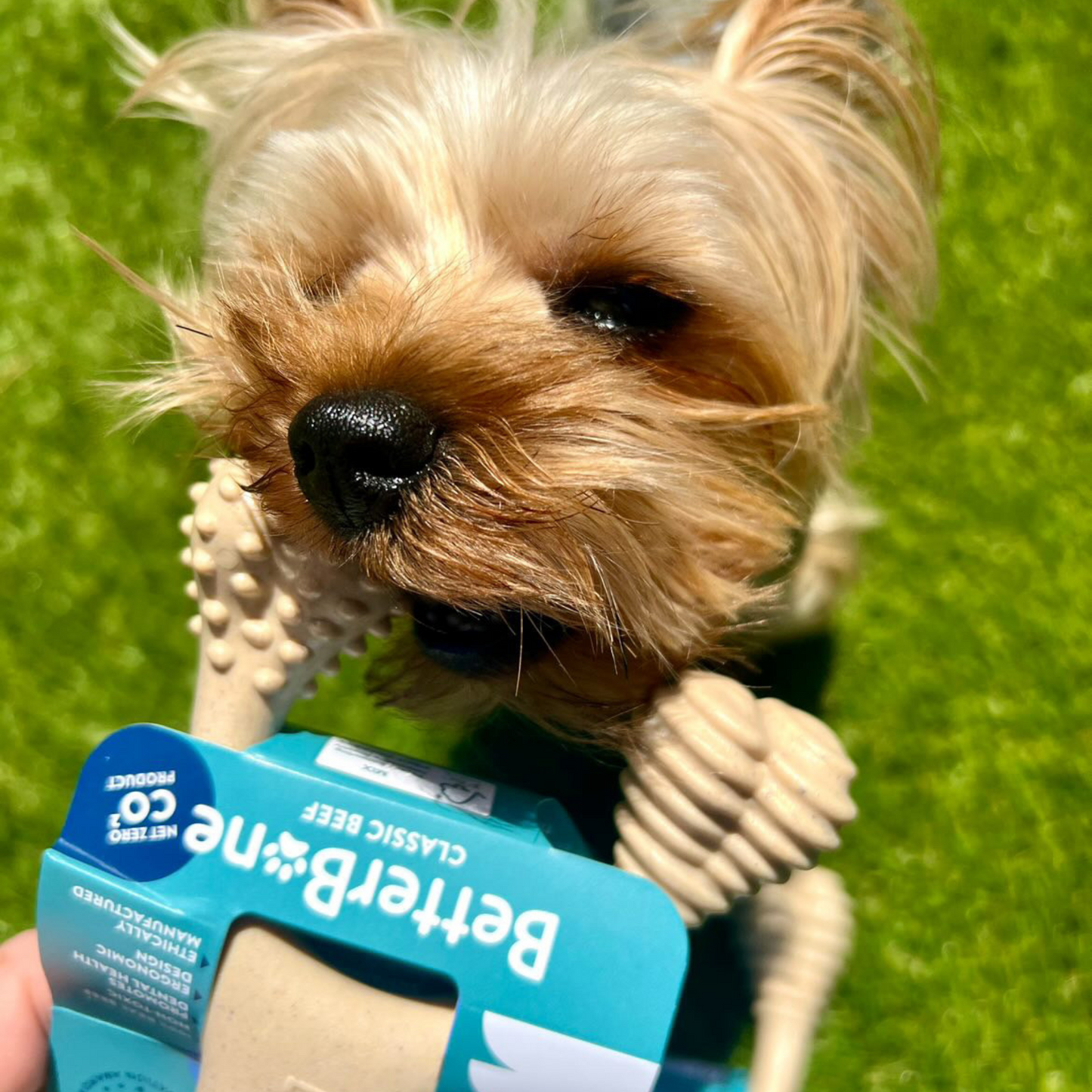BetterBone Soft Chew — Gentle Plant-Based Dog Bone